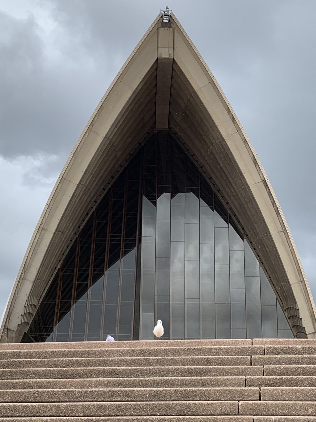 Under the sails of the Opera House
