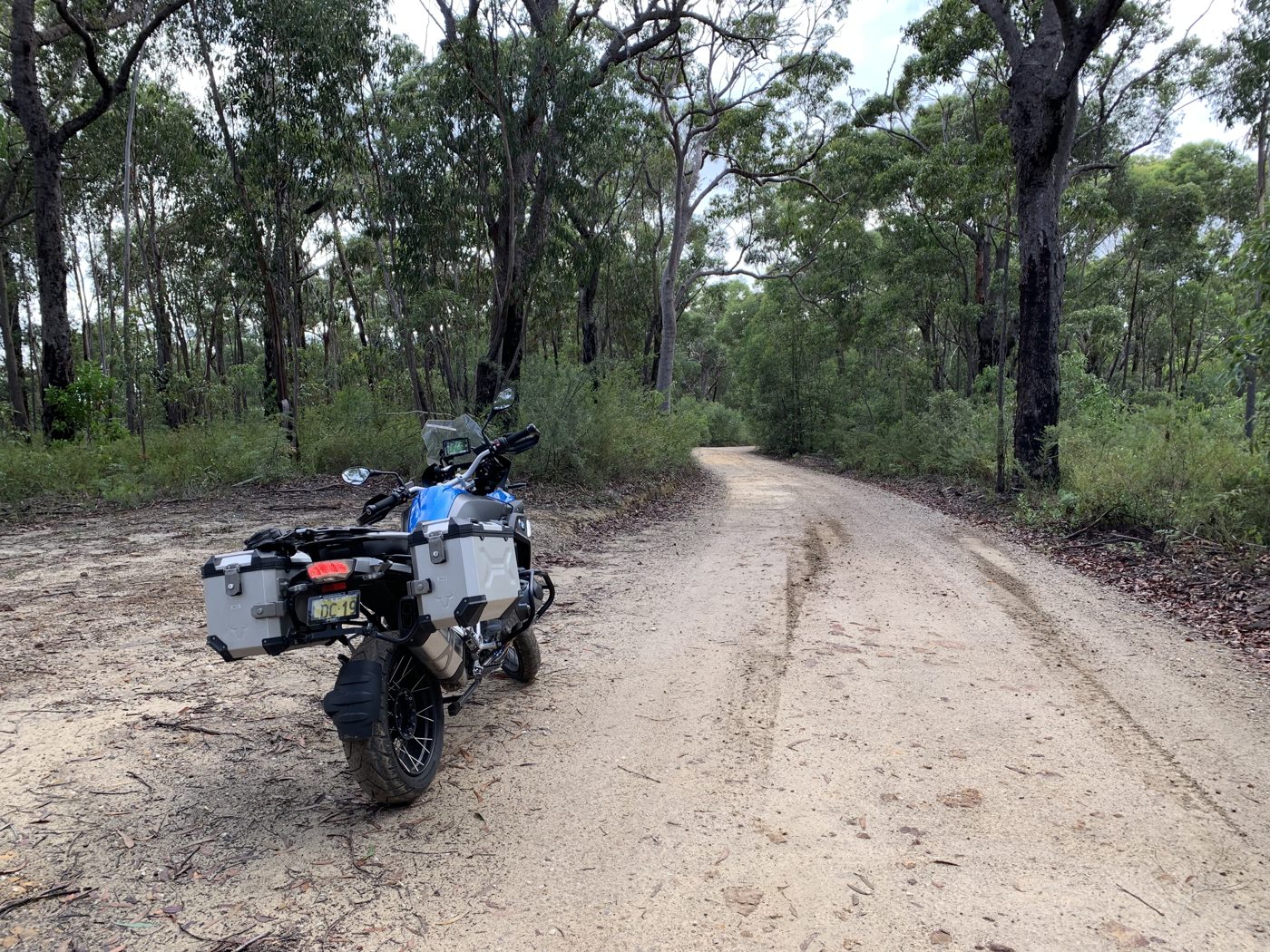 Gravel and gum trees