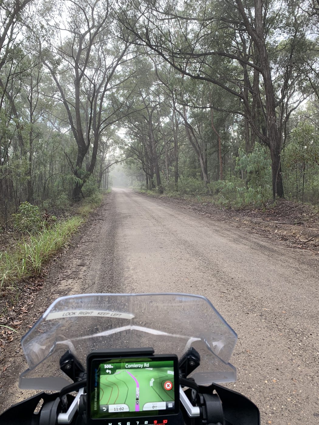 Comleroy Road in the morning mist