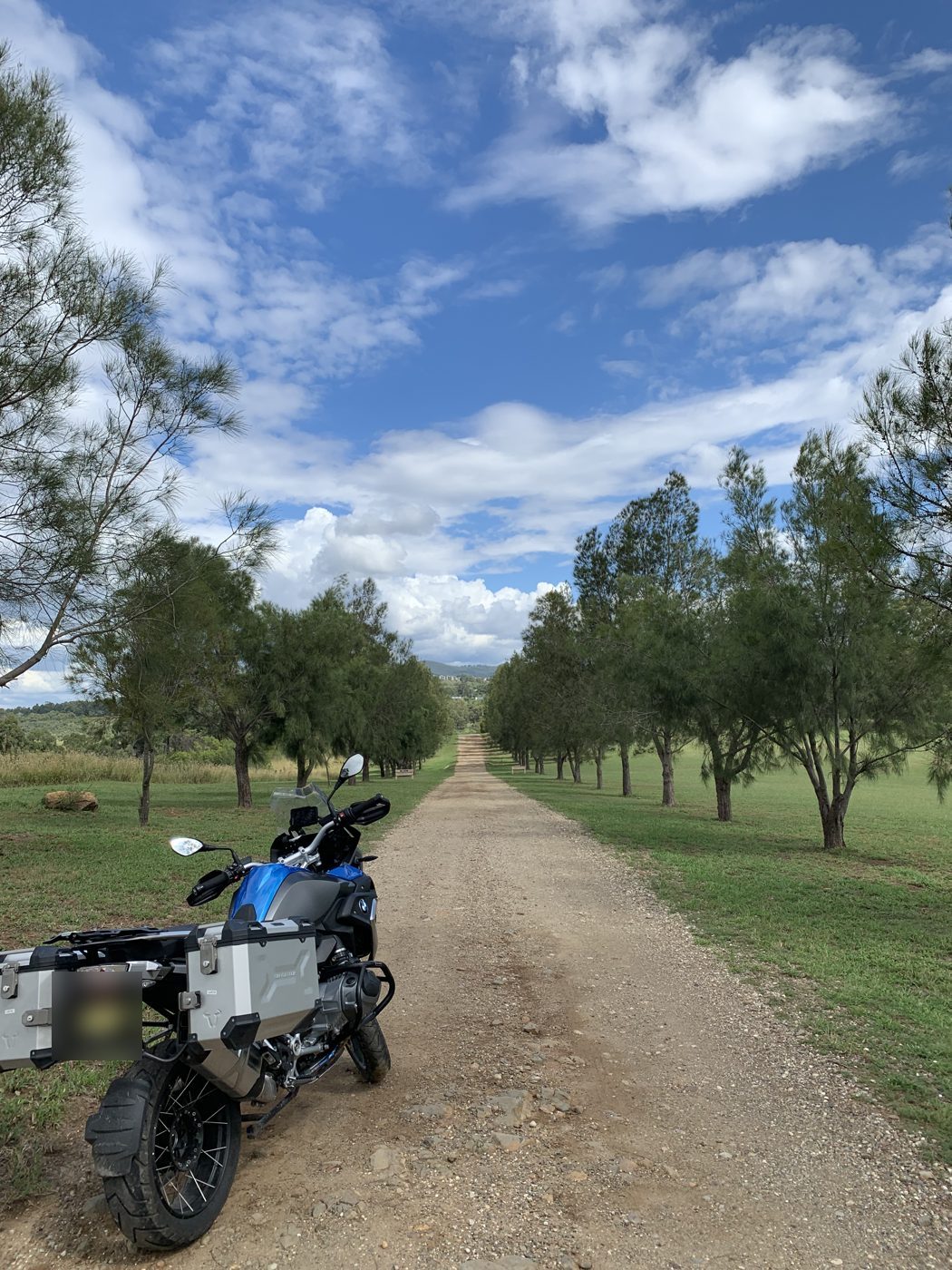 The GS among the trees