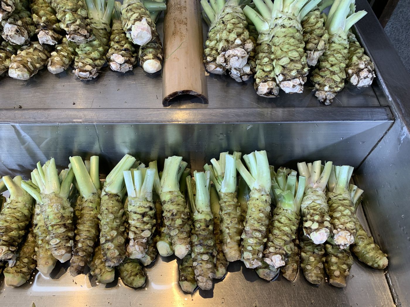 Azumino wasabi