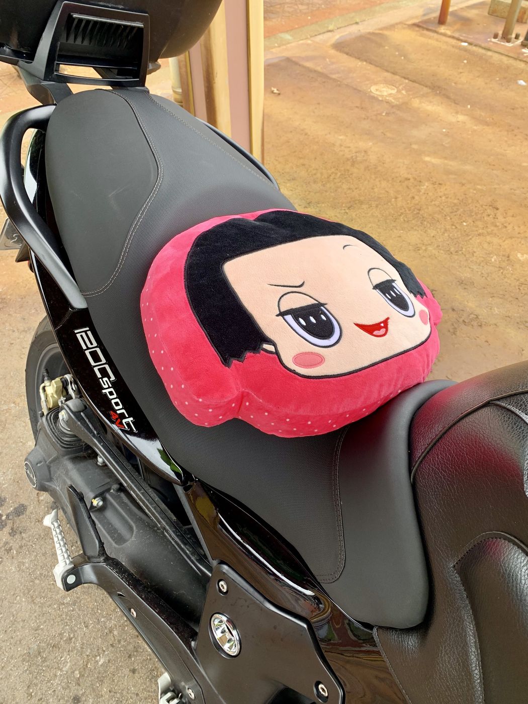 A seat-cushion companion for the coast ride