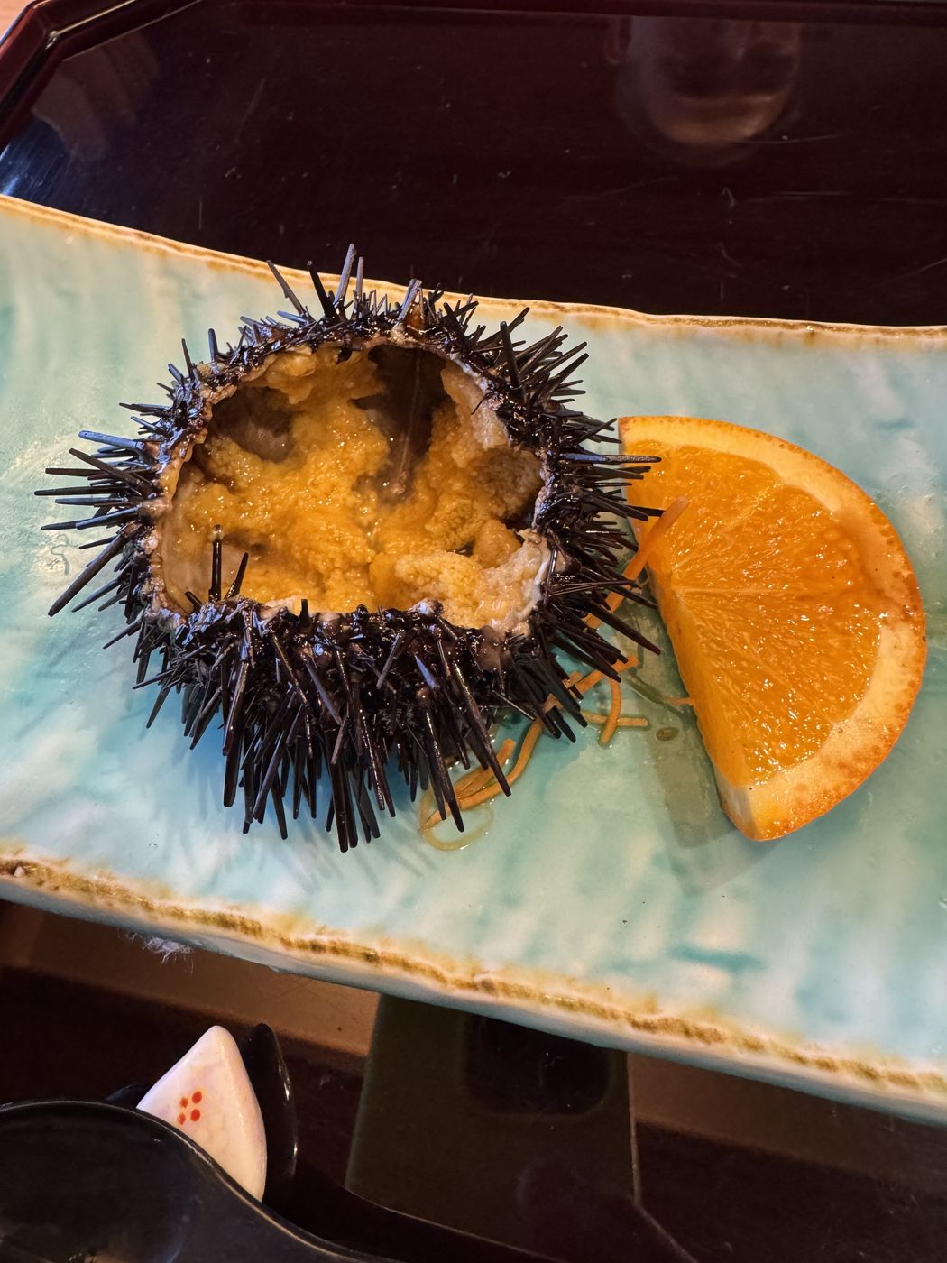 Sea urchin