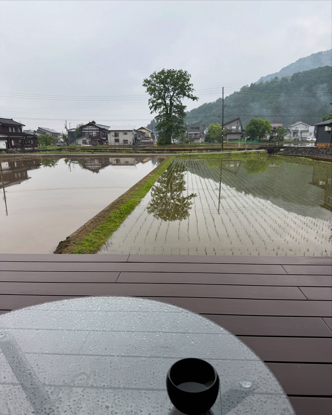 Rice paddies at dawn in Minamiuonuma