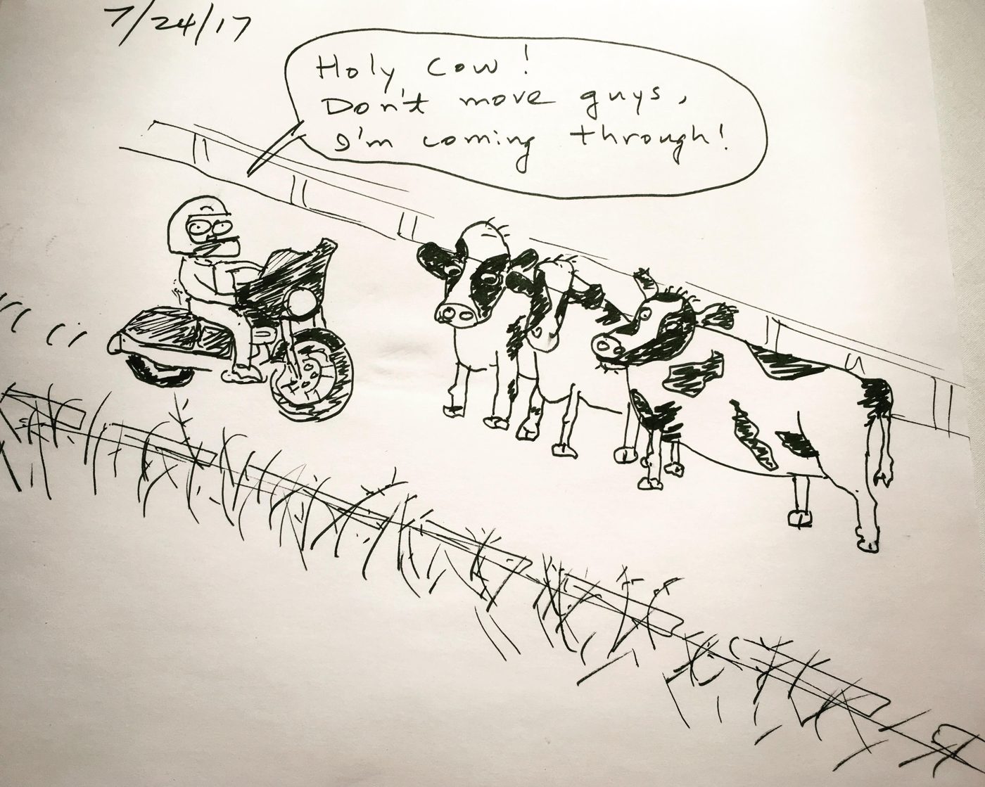 “Holy cow! Don’t move guys, I’m coming through!”