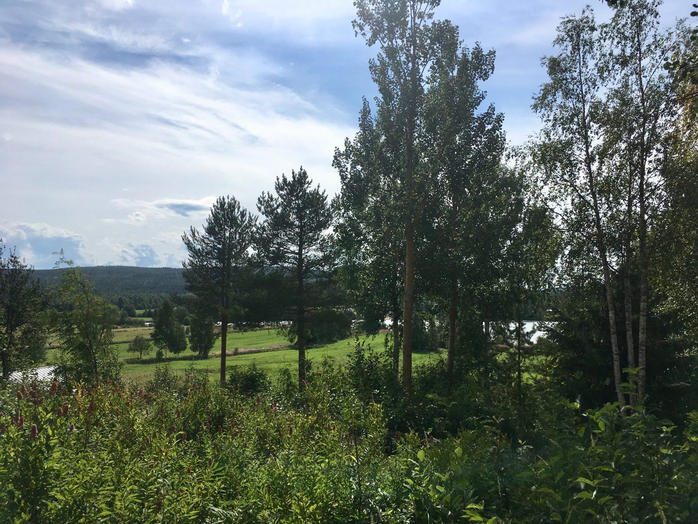 Swedish countryside