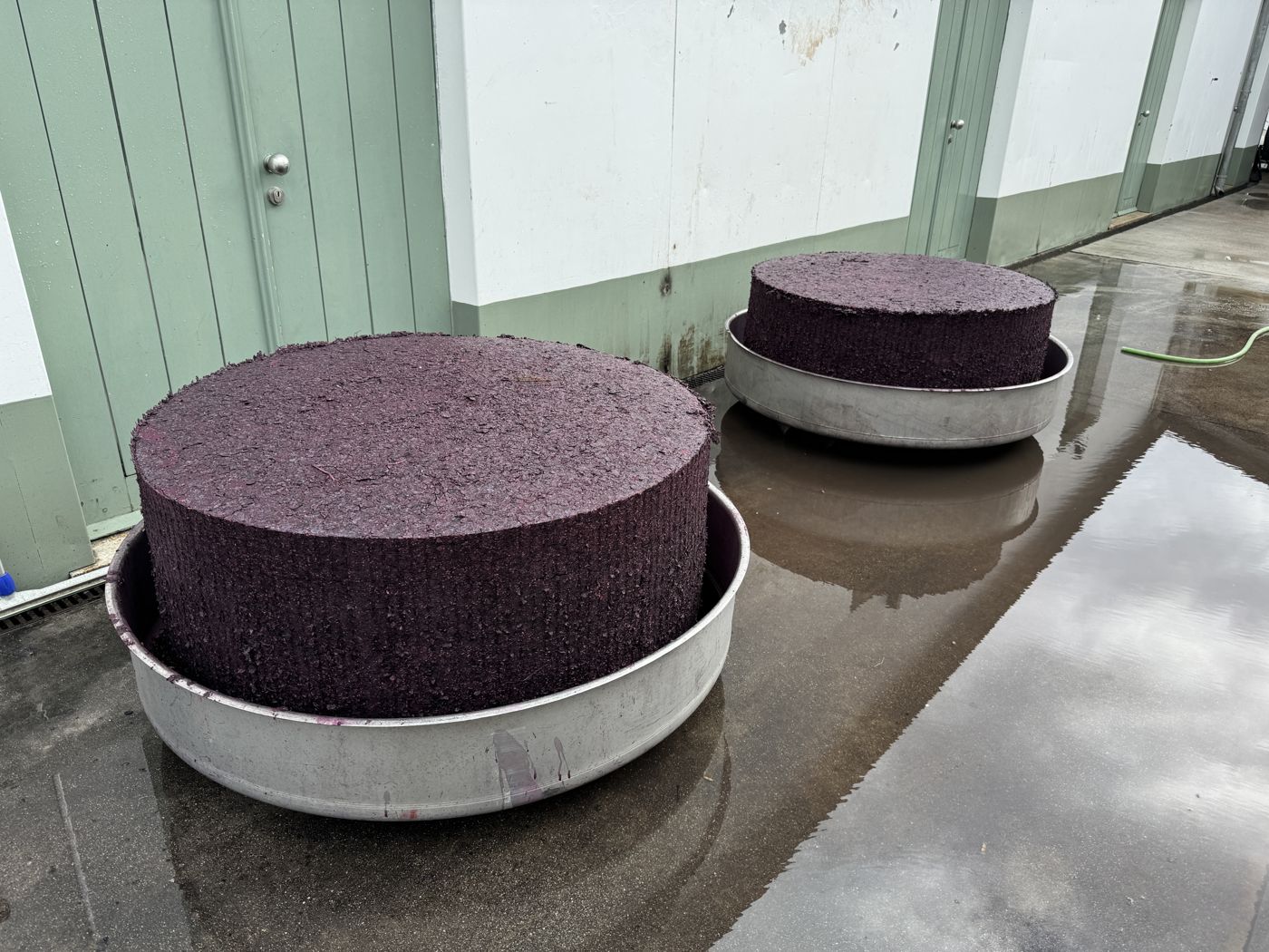 Pressed grape skins from the harvest