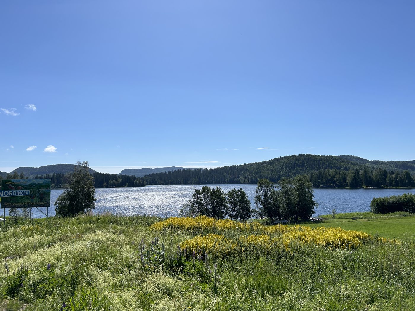 Lakes and wildflowers