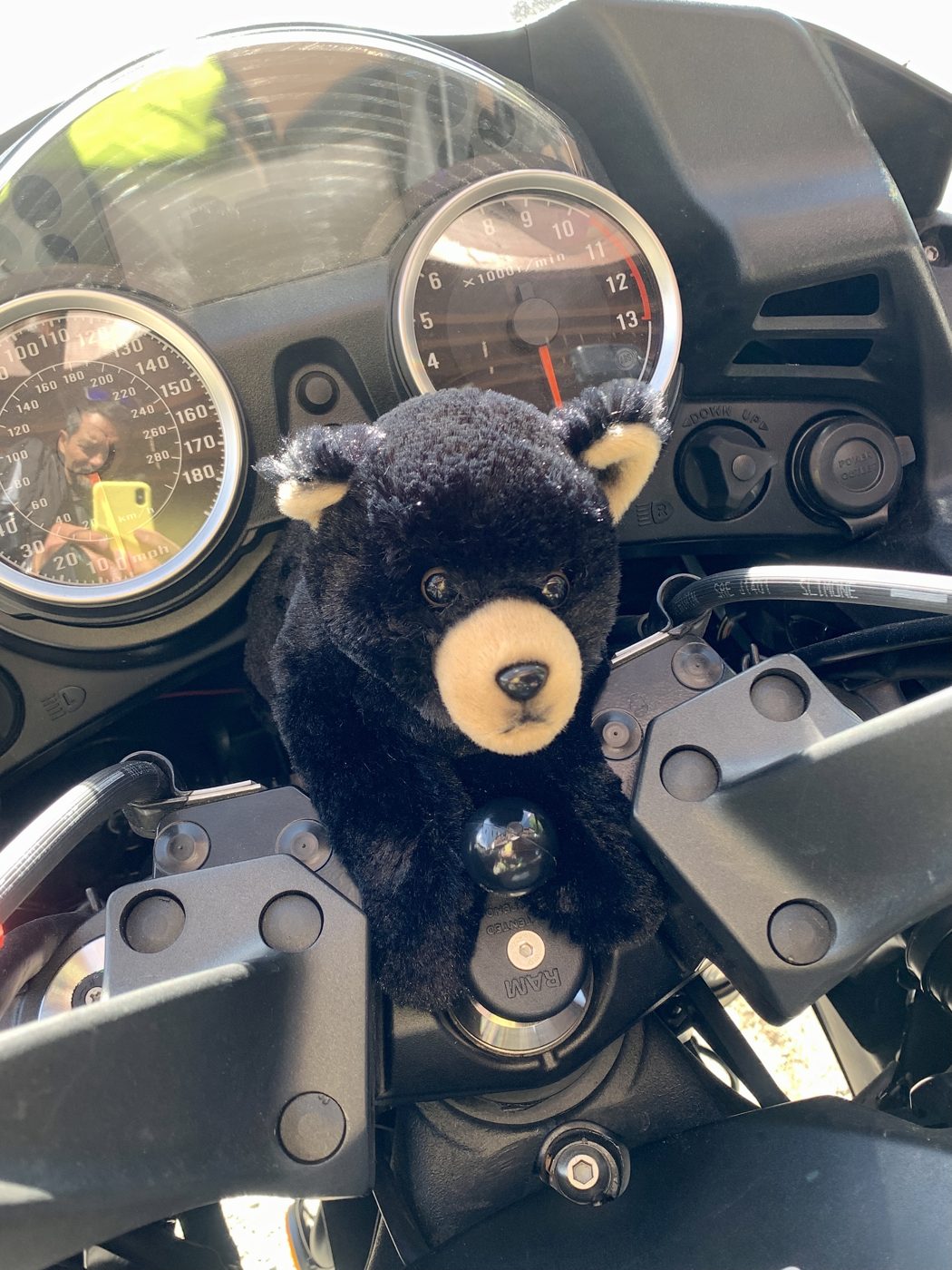 My riding companion