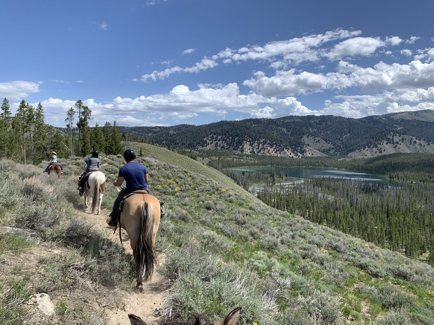 Horseback ride above Stanley