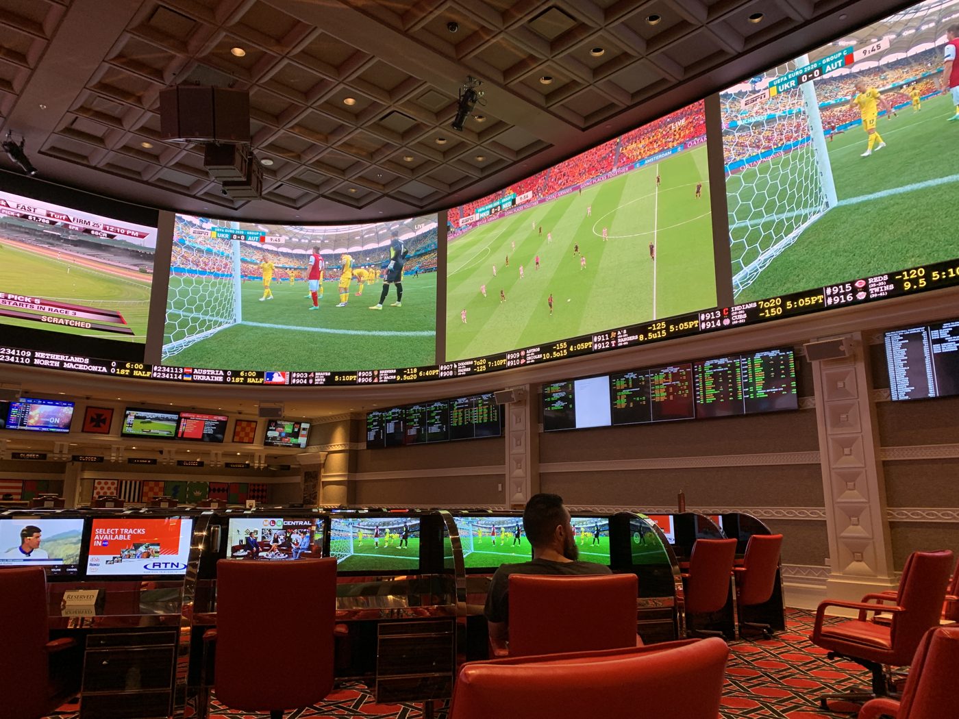 The sports book