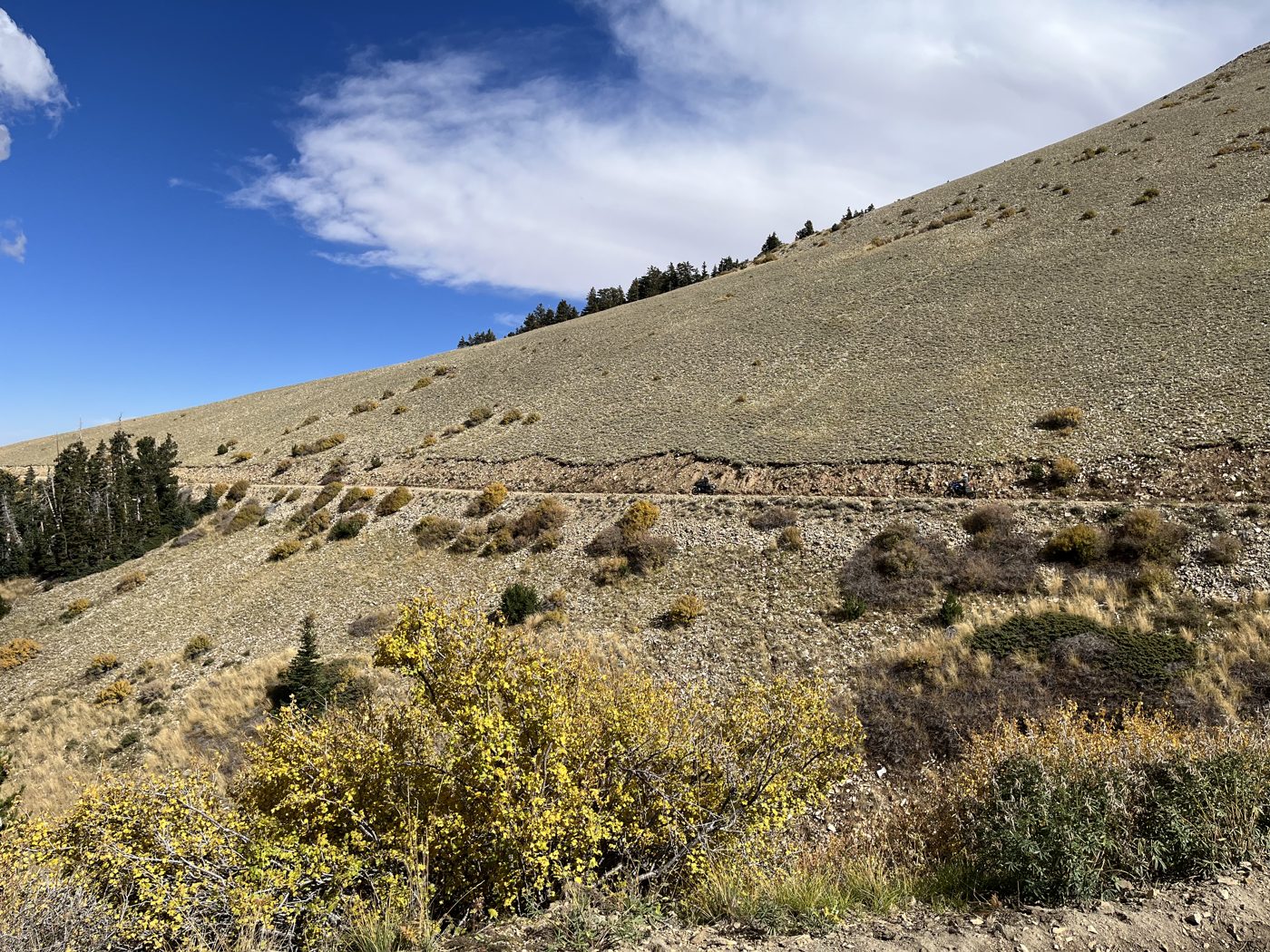 Up on Bull Creek Pass