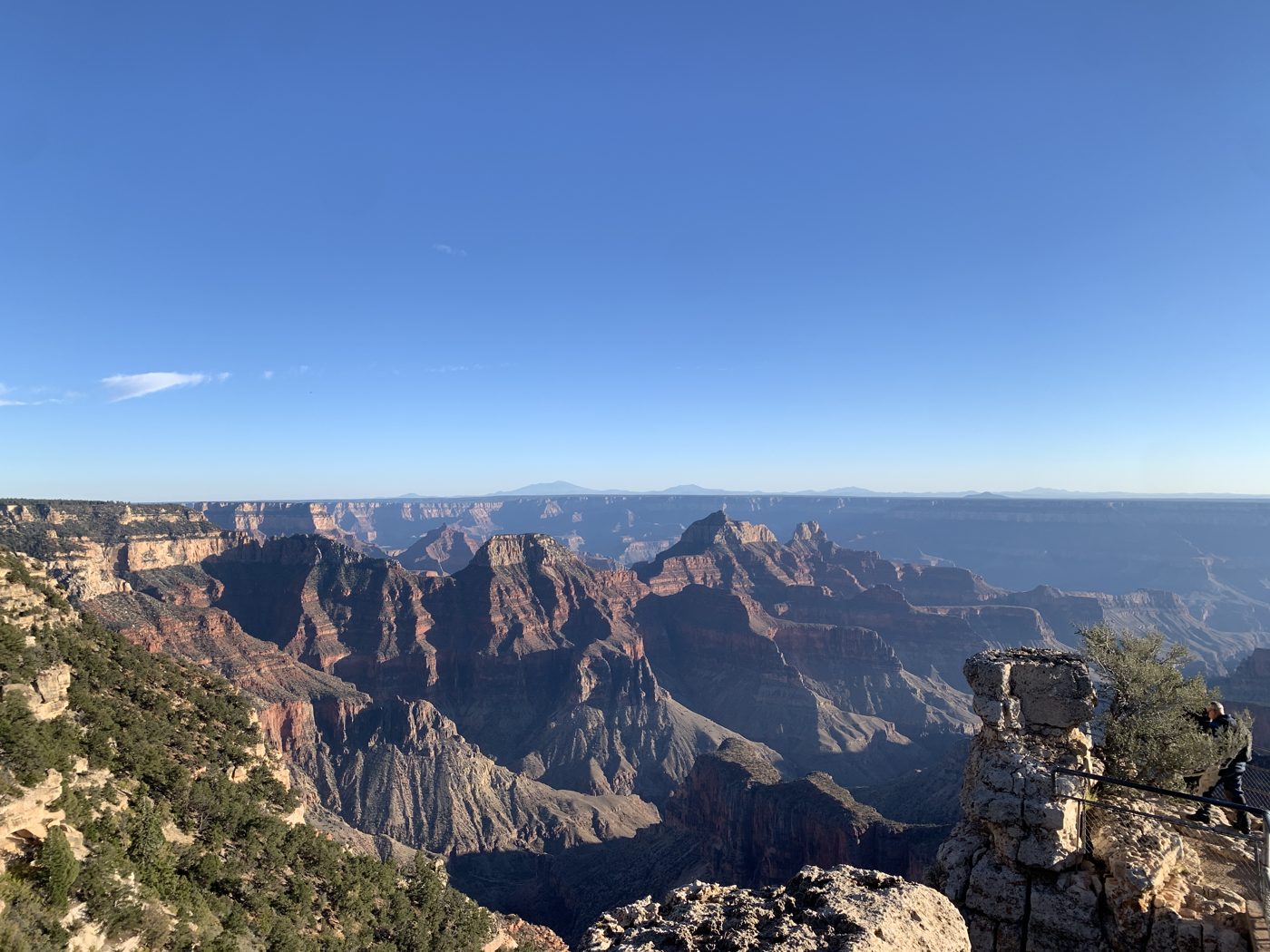The Grand Canyon from the North Rim