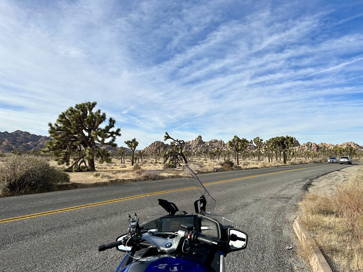 Riding through Joshua Tree National Park