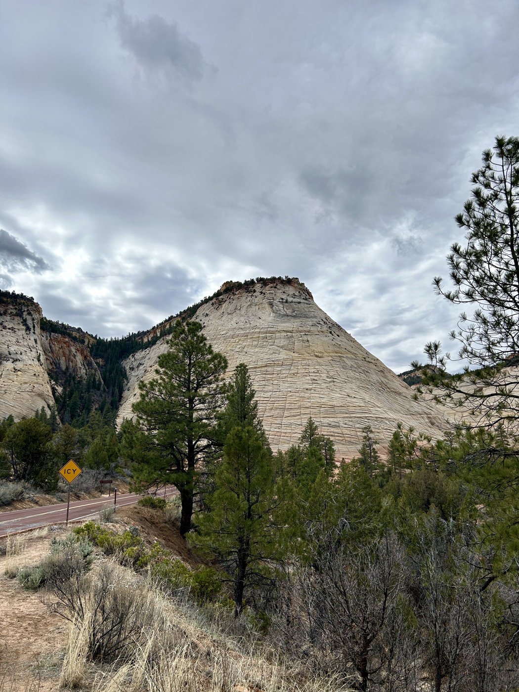 Checkerboard Mesa, Zion